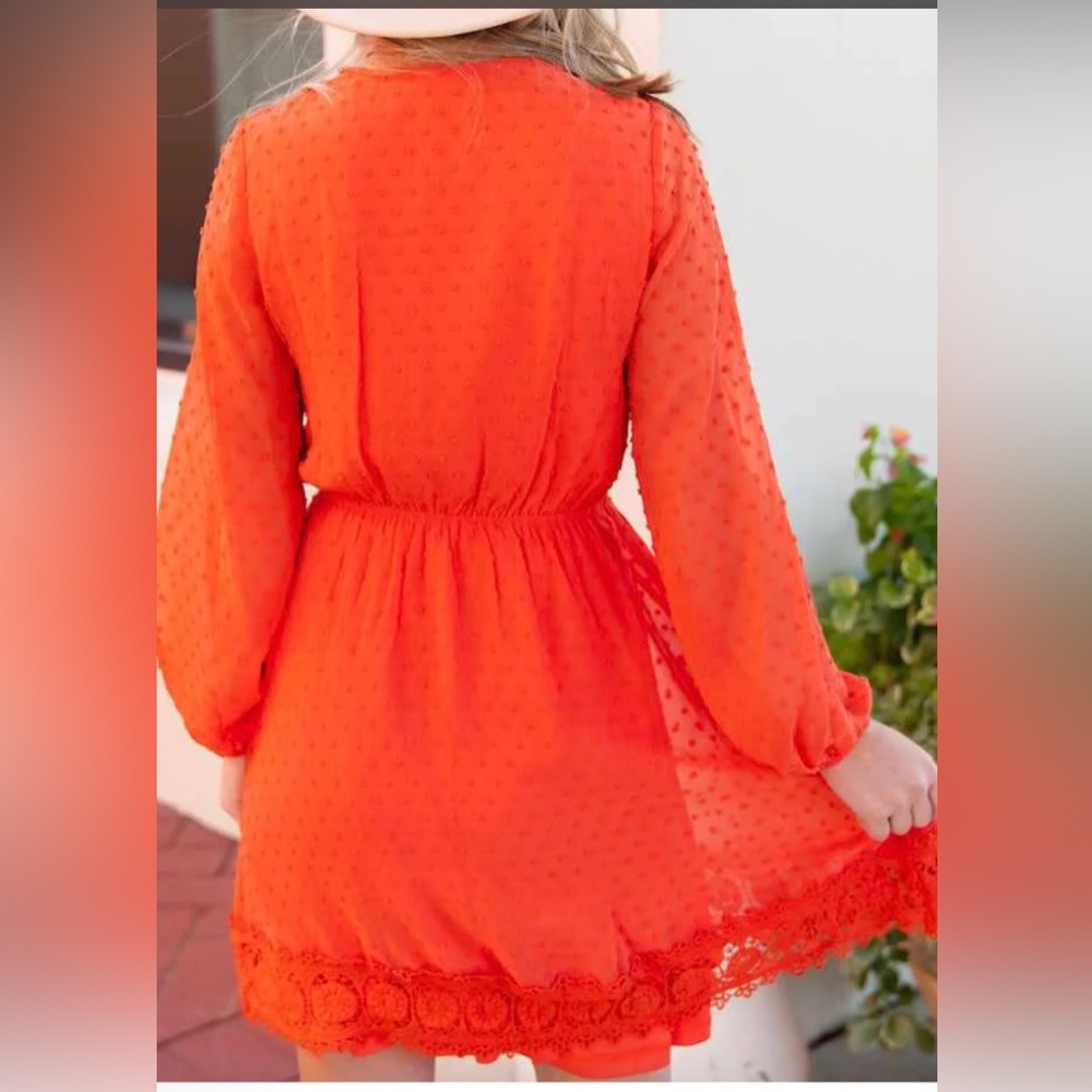 Southern Fried Chics This One’s For The Ladies Rust Long Sleeve Dress - Picture 4 of 5